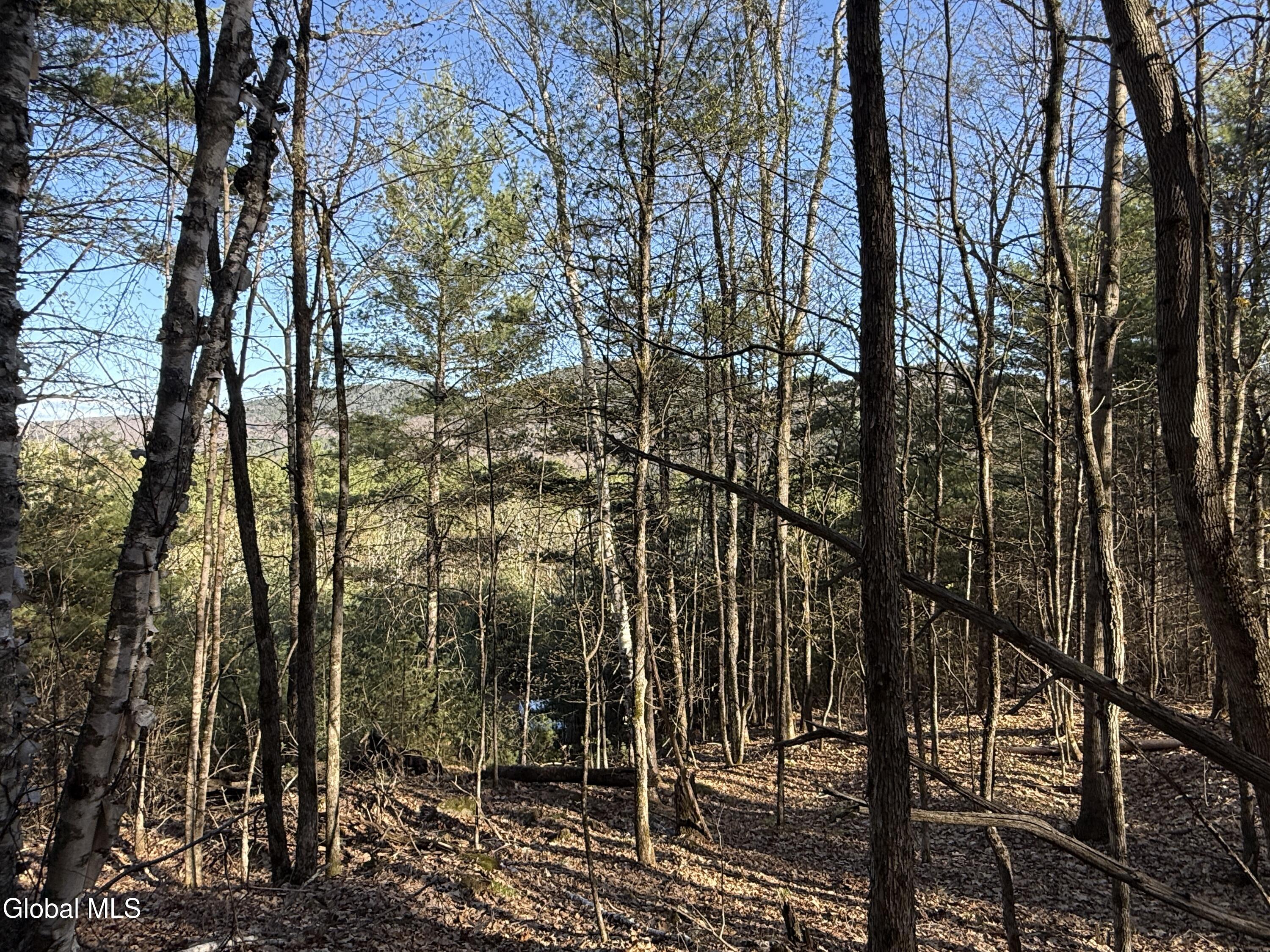 L22.2 Cameron Road Warrensburg NY 12810