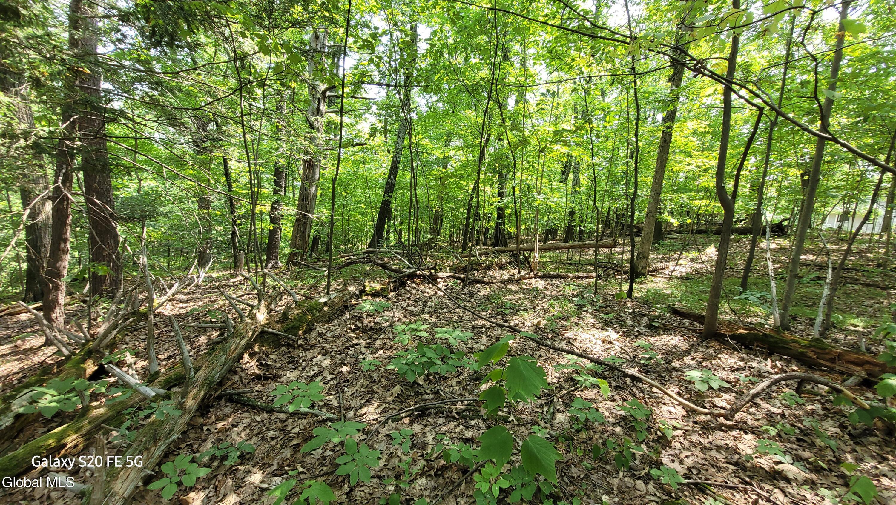 50 Finger Hill Road Saugerties NY 12477