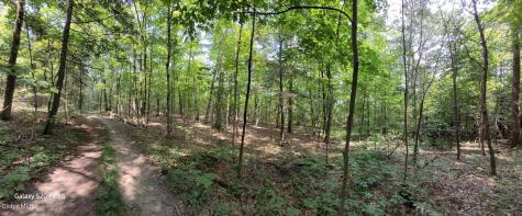 50 Finger Hill Road Saugerties NY 12477