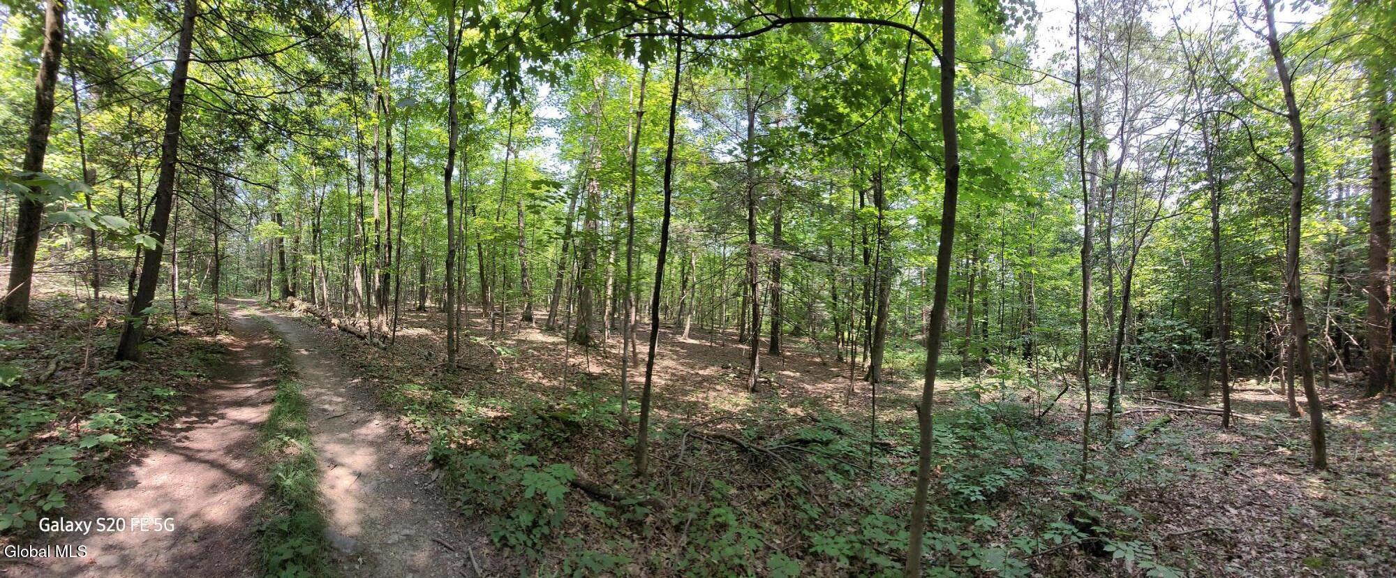 50 Finger Hill Road Saugerties NY 12477