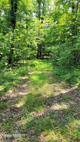 50 Finger Hill Road Saugerties NY 12477