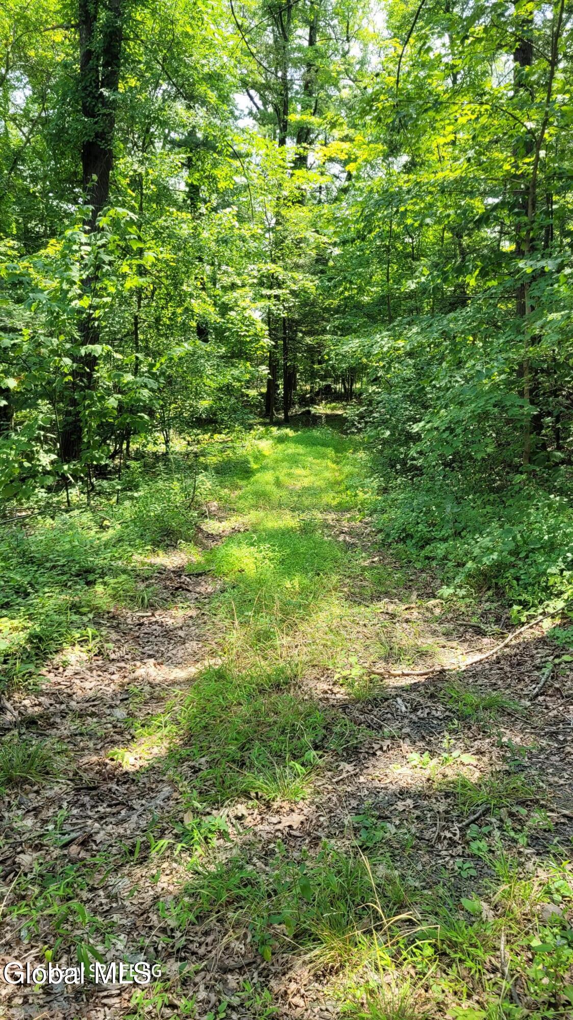 50 Finger Hill Road Saugerties NY 12477