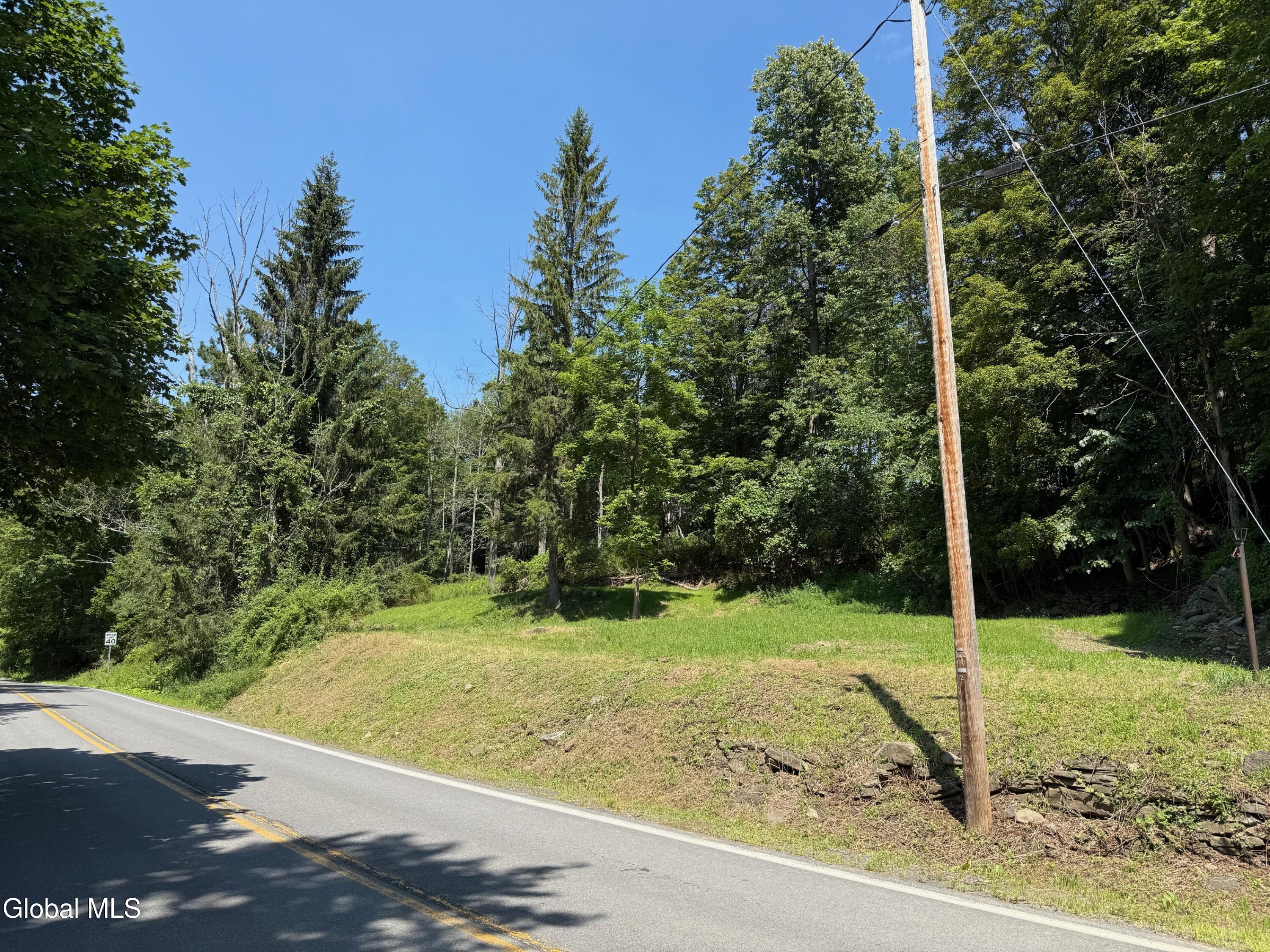 1499 Huntersland Road Middleburgh NY 12122