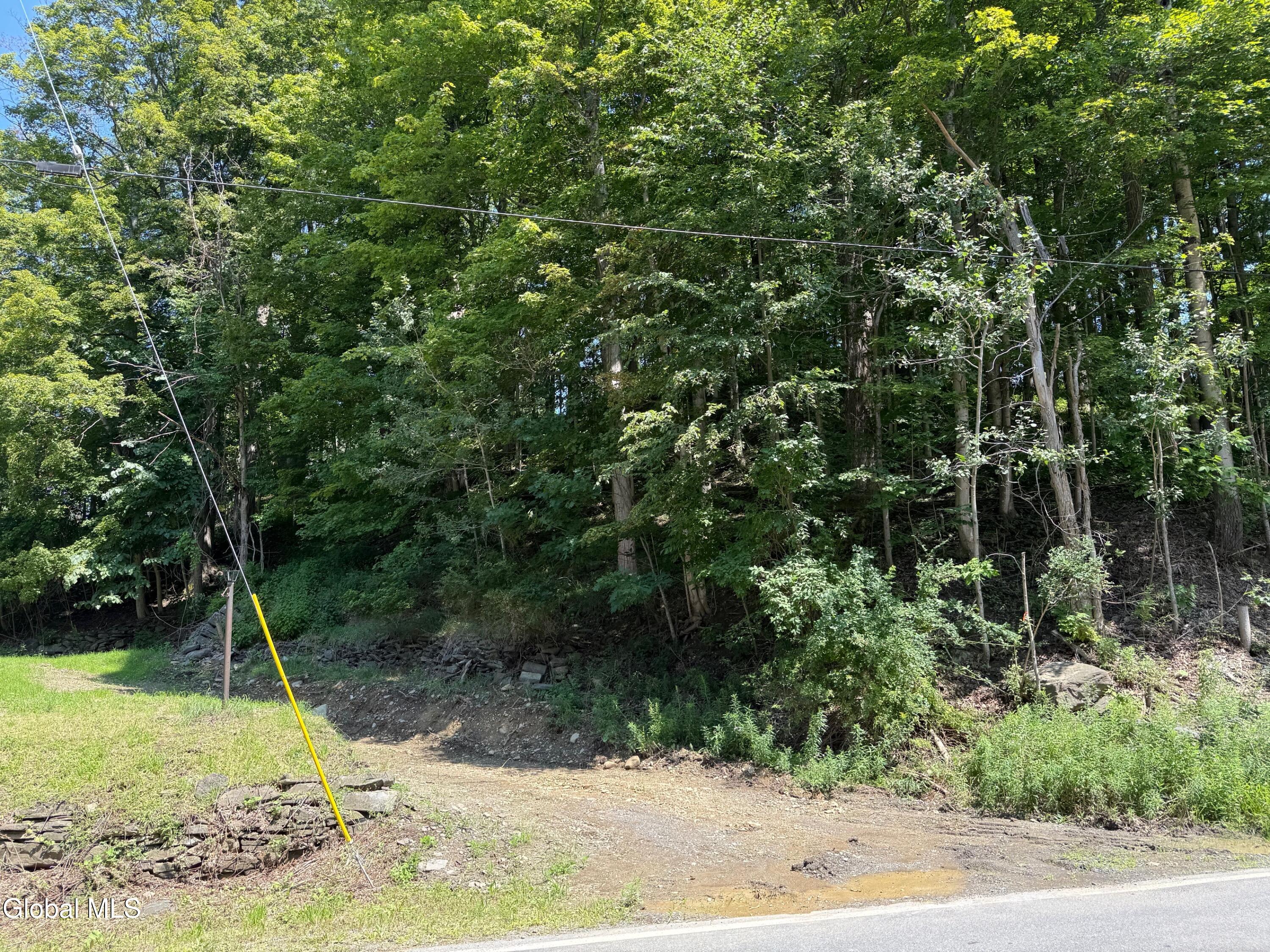 1499 Huntersland Road Middleburgh NY 12122
