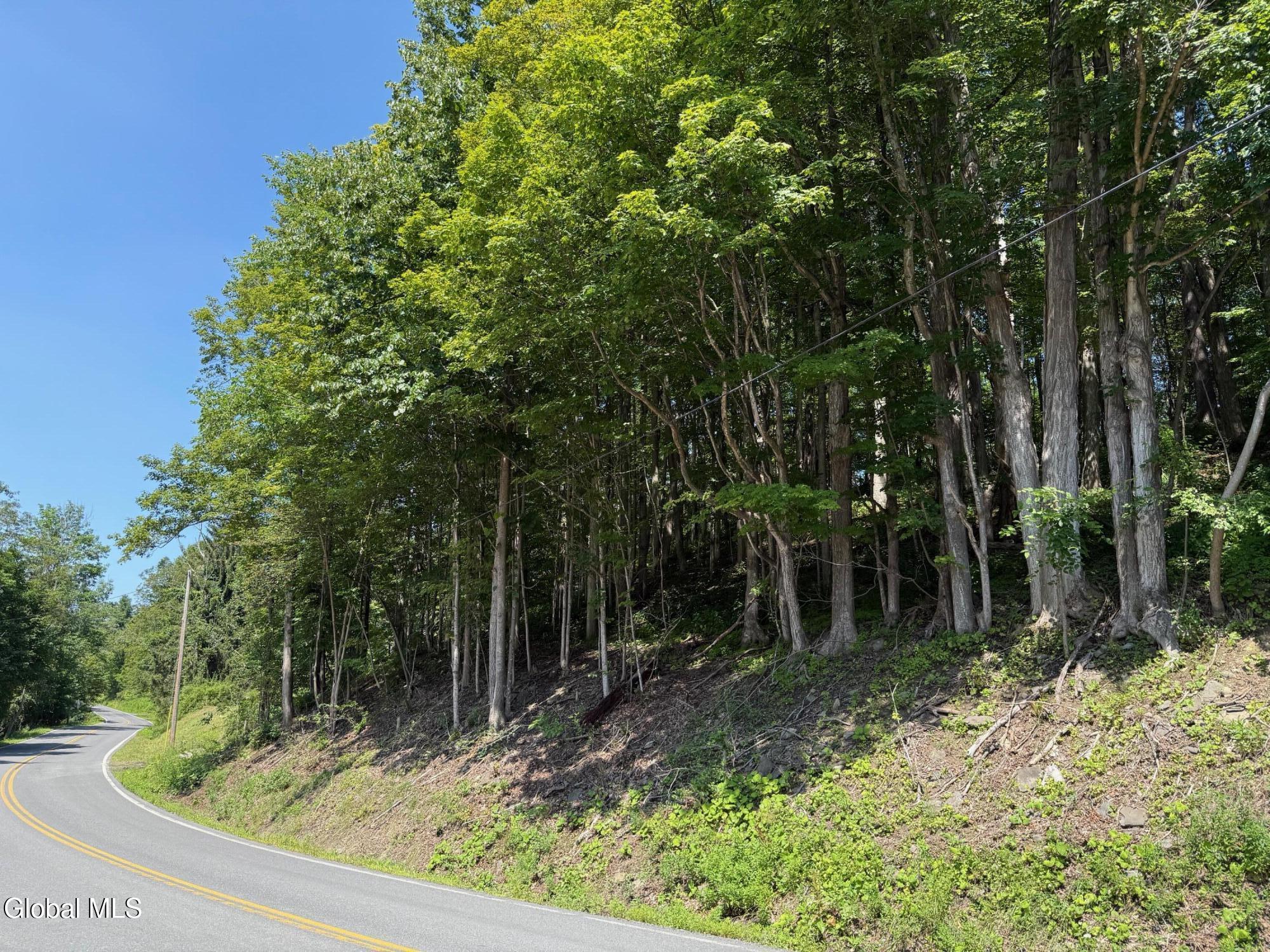 1499 Huntersland Road Middleburgh NY 12122