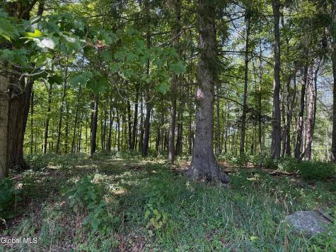 1499 Huntersland Road Middleburgh NY 12122