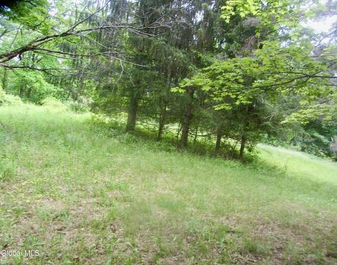 L23.2 Unionville Feura Bush Road Feura Bush NY 12067