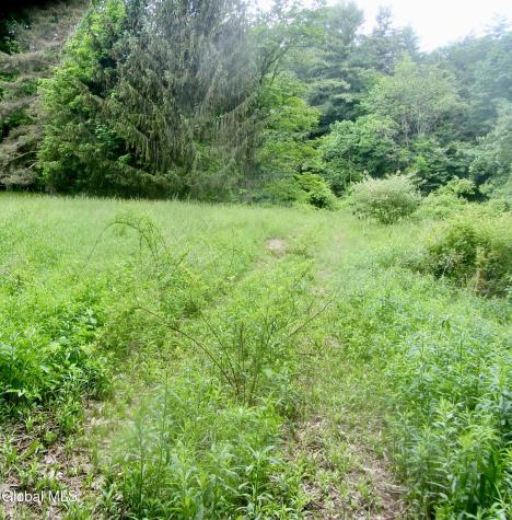 L23.2 Unionville Feura Bush Road Feura Bush NY 12067