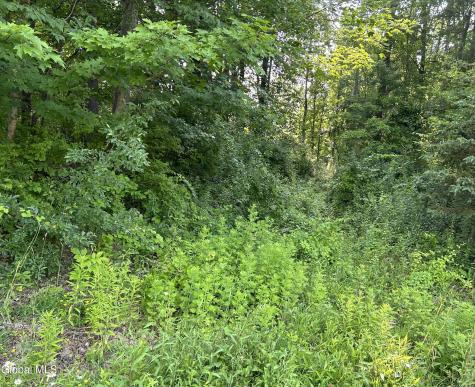 L23.2 Unionville Feura Bush Road Feura Bush NY 12067