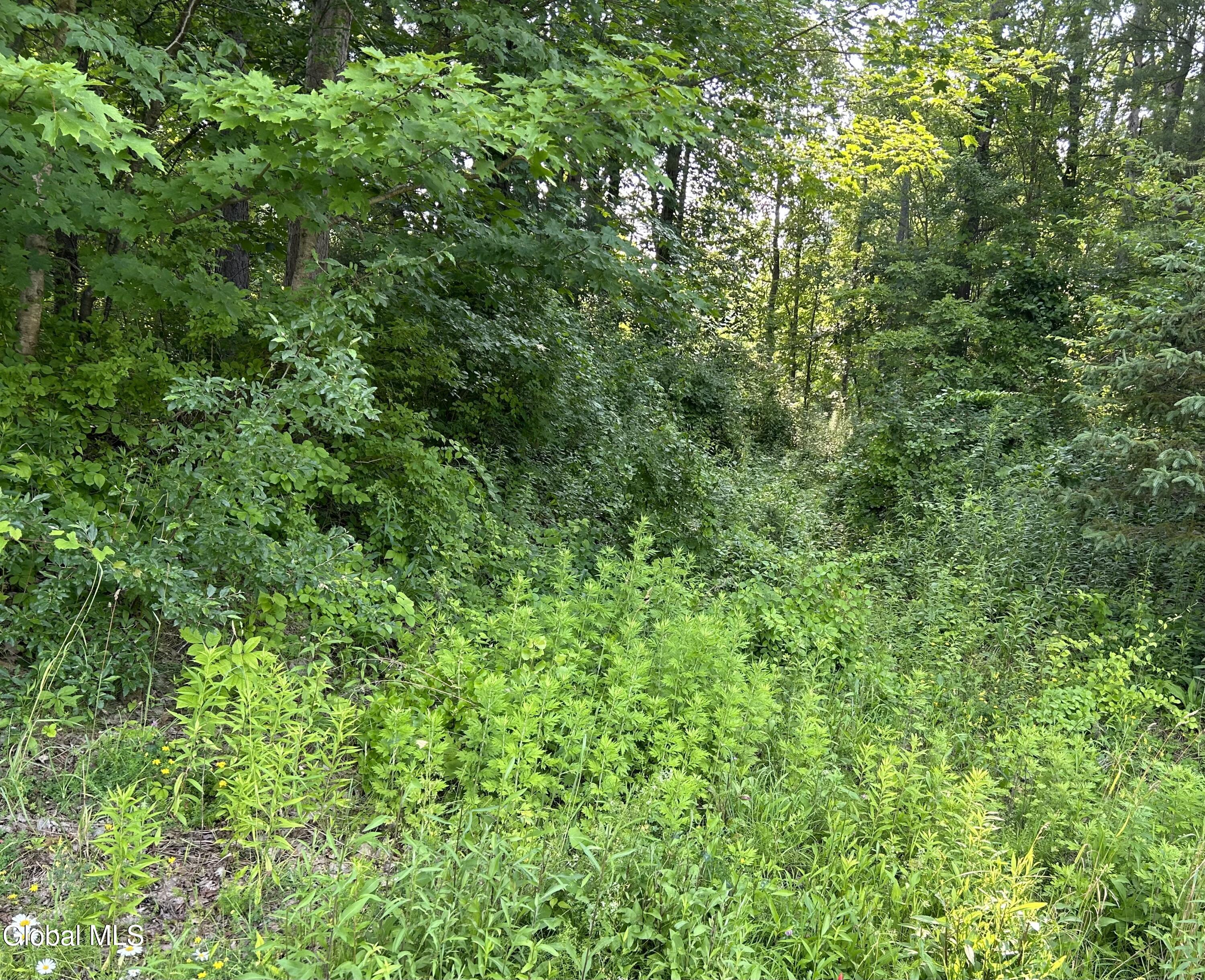 L23.2 Unionville Feura Bush Road Feura Bush NY 12067