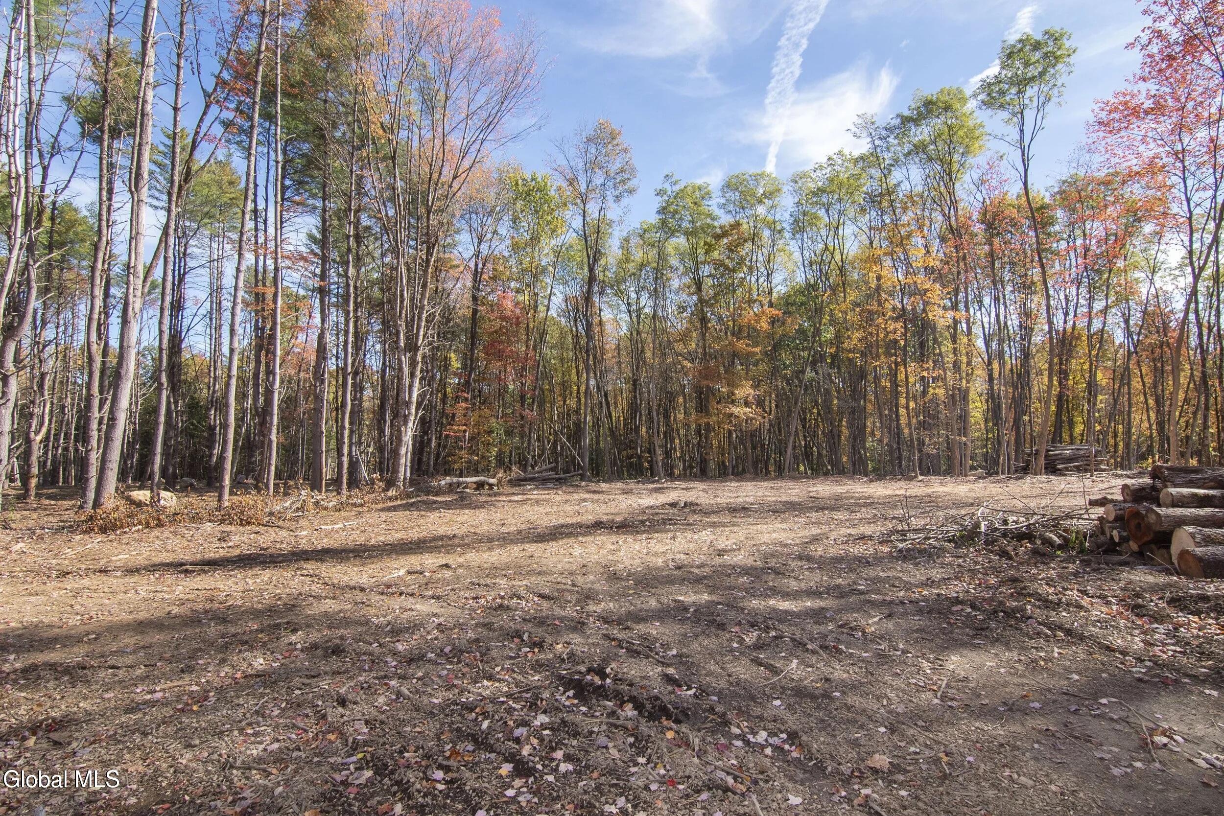 101A Sand Hill Road Greenfield Center NY 12833
