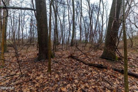 94 Briar Avenue Albany NY 12203