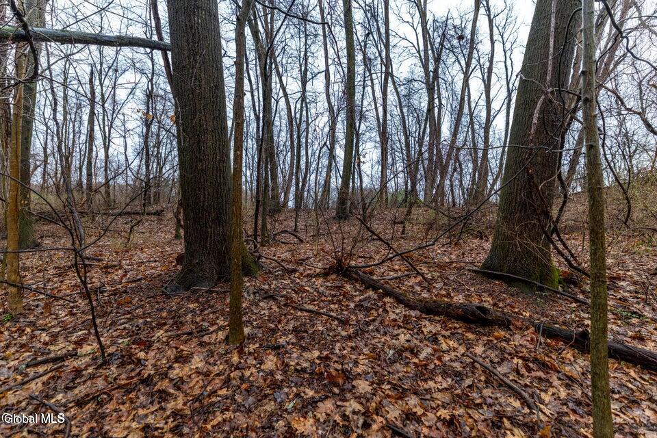 94 Briar Avenue Albany NY 12203