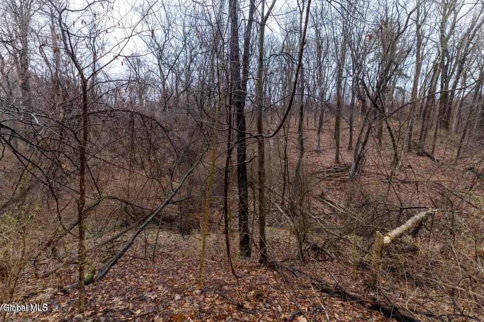 94 Briar Avenue Albany NY 12203