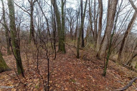 94 Briar Avenue Albany NY 12203
