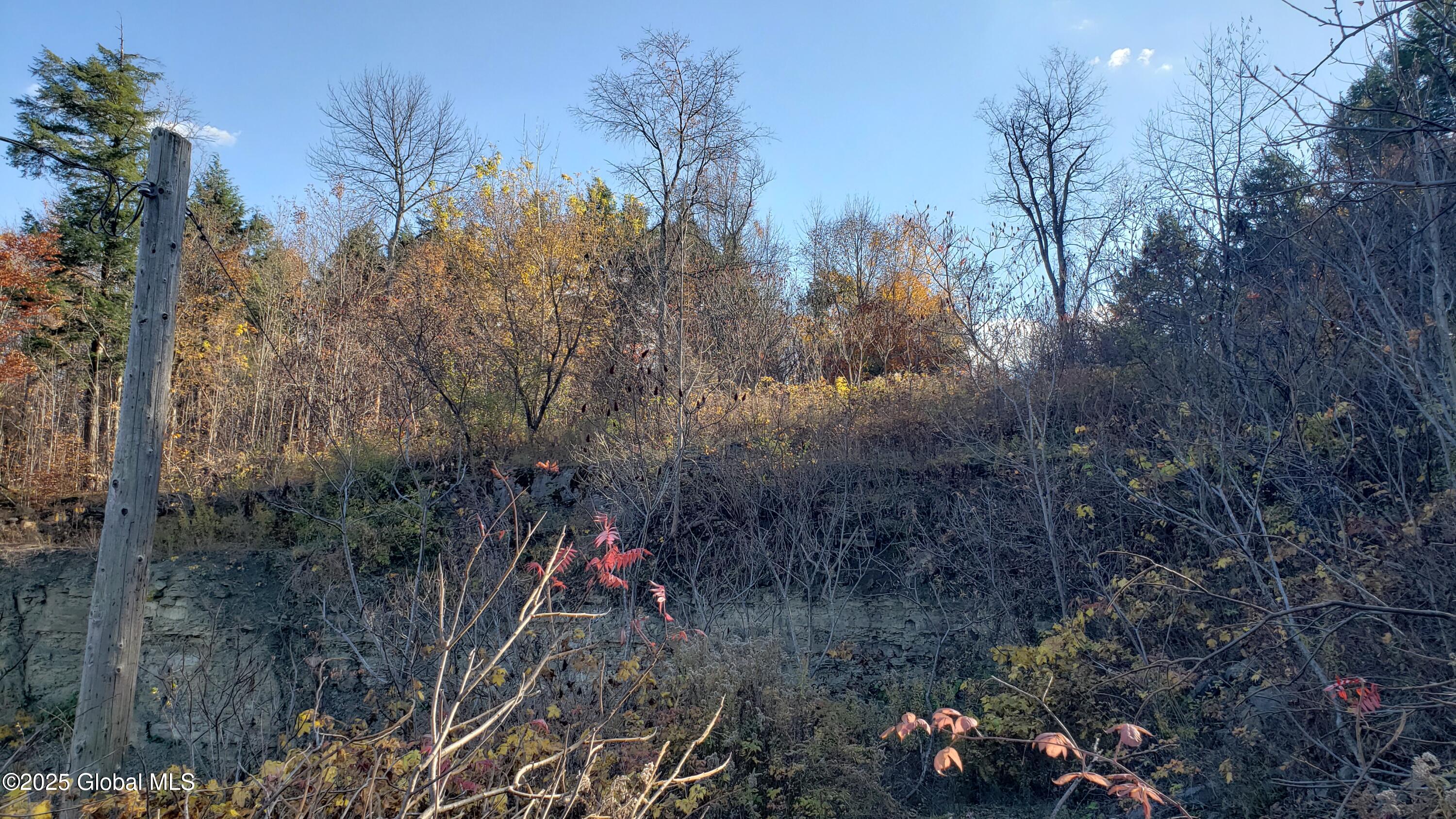 2554 State Route 7 Cobleskill NY 12092