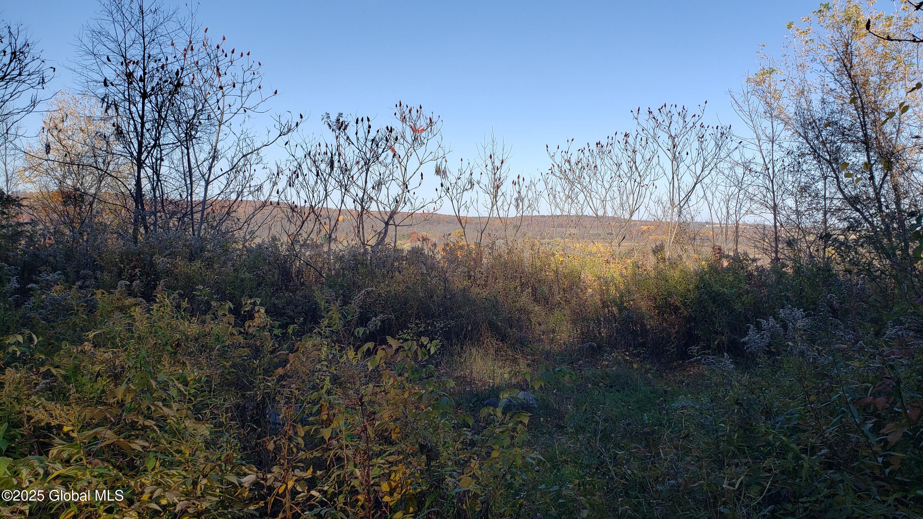 2554 State Route 7 Cobleskill NY 12092