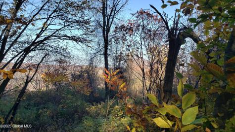 2554 State Route 7 Cobleskill NY 12092