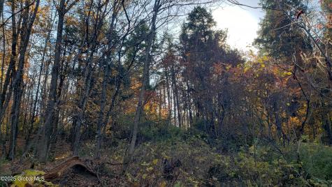 2554 State Route 7 Cobleskill NY 12092