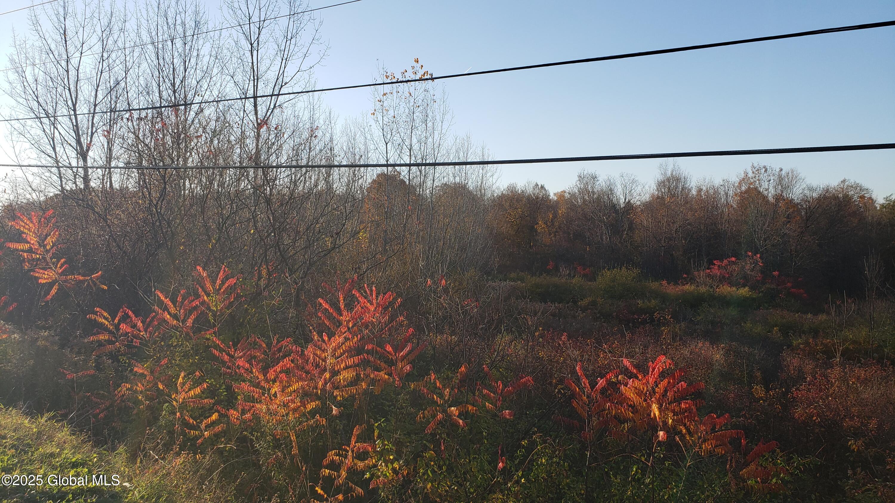 2554 State Route 7 Cobleskill NY 12092
