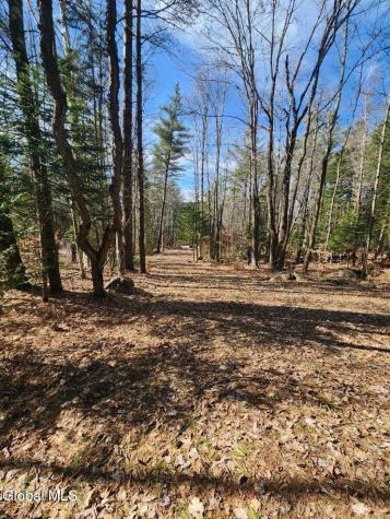 2442 State Route 8 Lake Pleasant NY 12108