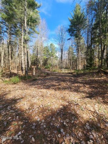 2442 State Route 8 Lake Pleasant NY 12108
