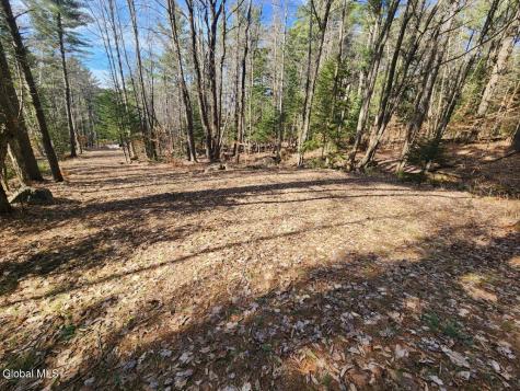 2442 State Route 8 Lake Pleasant NY 12108