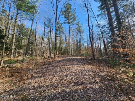2442 State Route 8 Lake Pleasant NY 12108