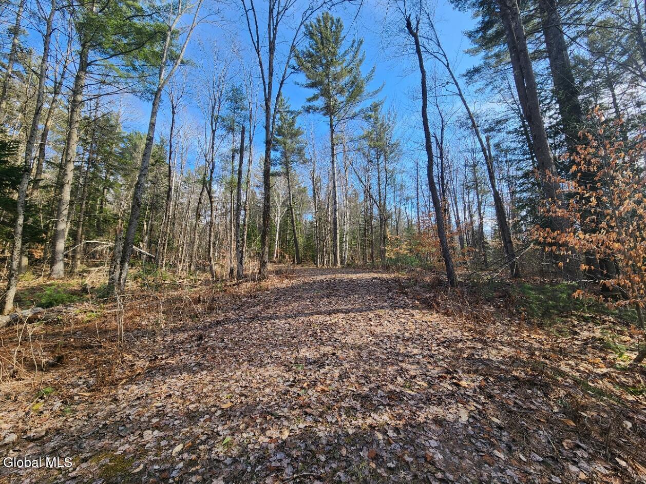 2442 State Route 8 Lake Pleasant NY 12108