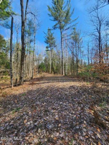 2442 State Route 8 Lake Pleasant NY 12108