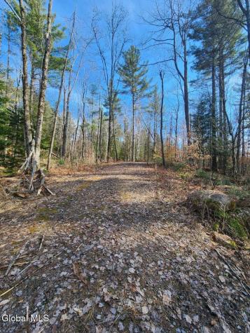2442 State Route 8 Lake Pleasant NY 12108