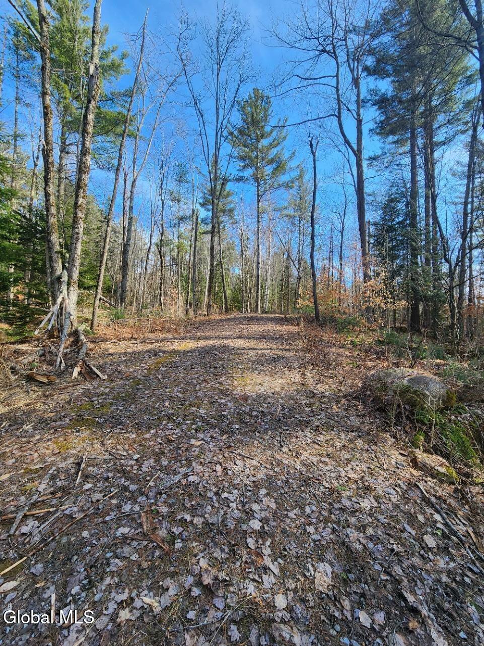2442 State Route 8 Lake Pleasant NY 12108
