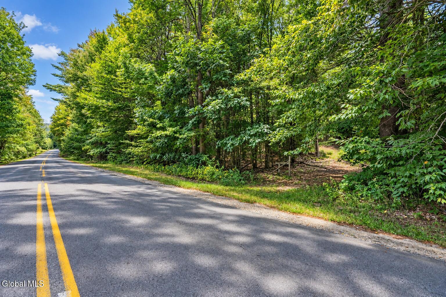 126 Miner Road Porter Corners NY 12822