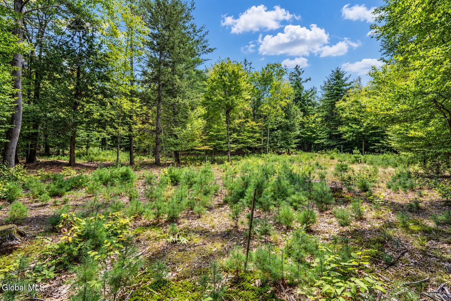 126 Miner Road Porter Corners NY 12822