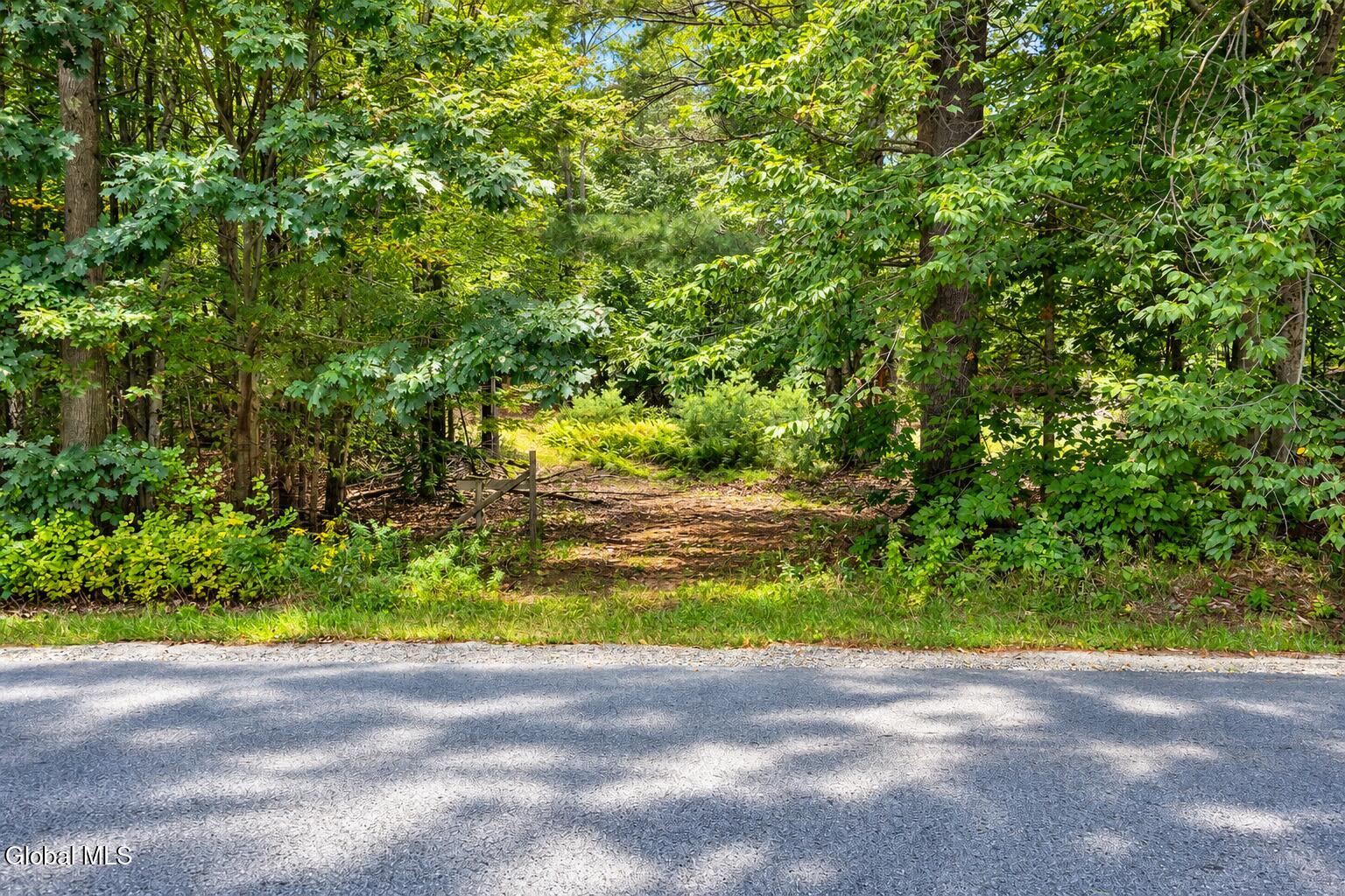 126 Miner Road Porter Corners NY 12822