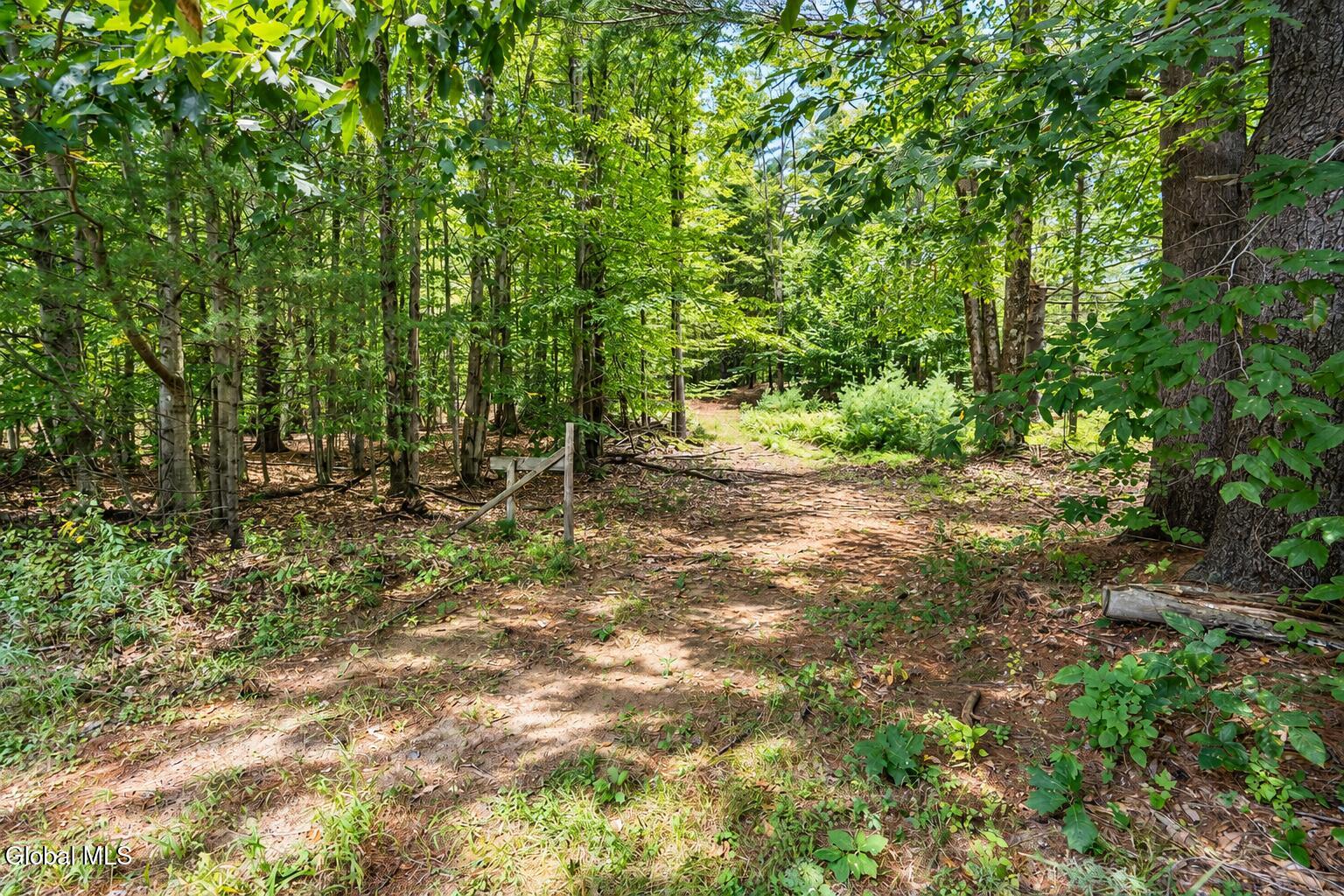 126 Miner Road Porter Corners NY 12822