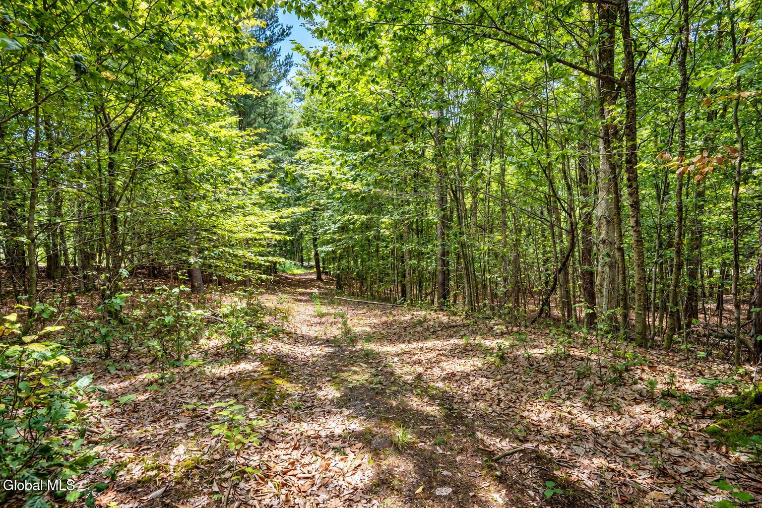 126 Miner Road Porter Corners NY 12822