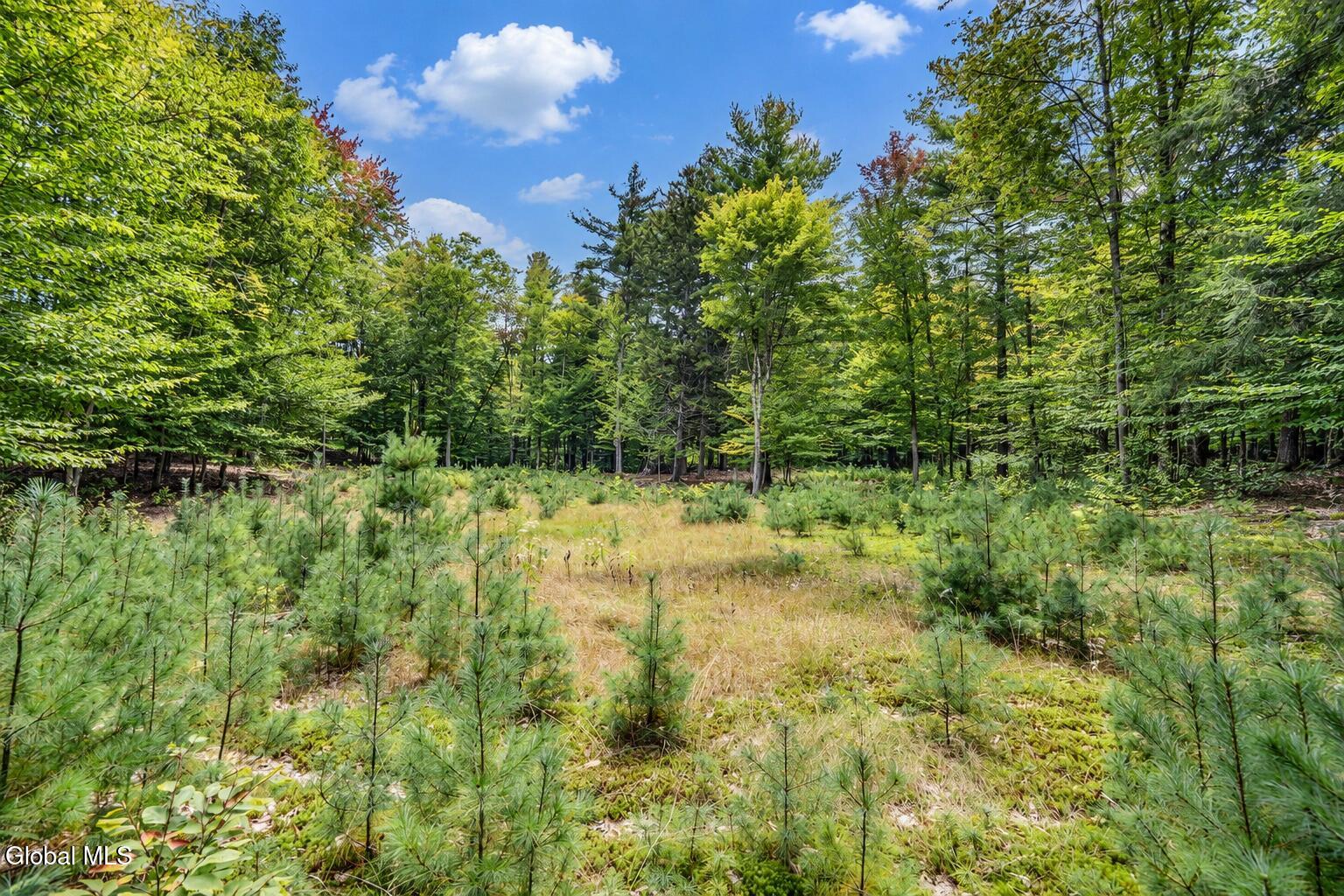 126 Miner Road Porter Corners NY 12822