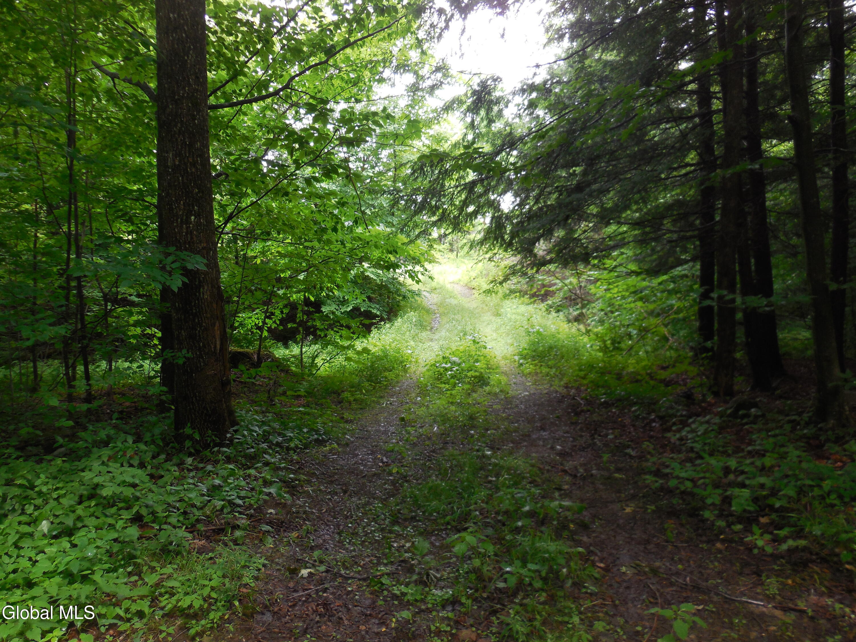 L17.5 N Knight North Road Delanson NY 12053
