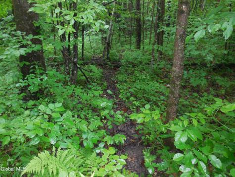 L17.5 N Knight North Road Delanson NY 12053