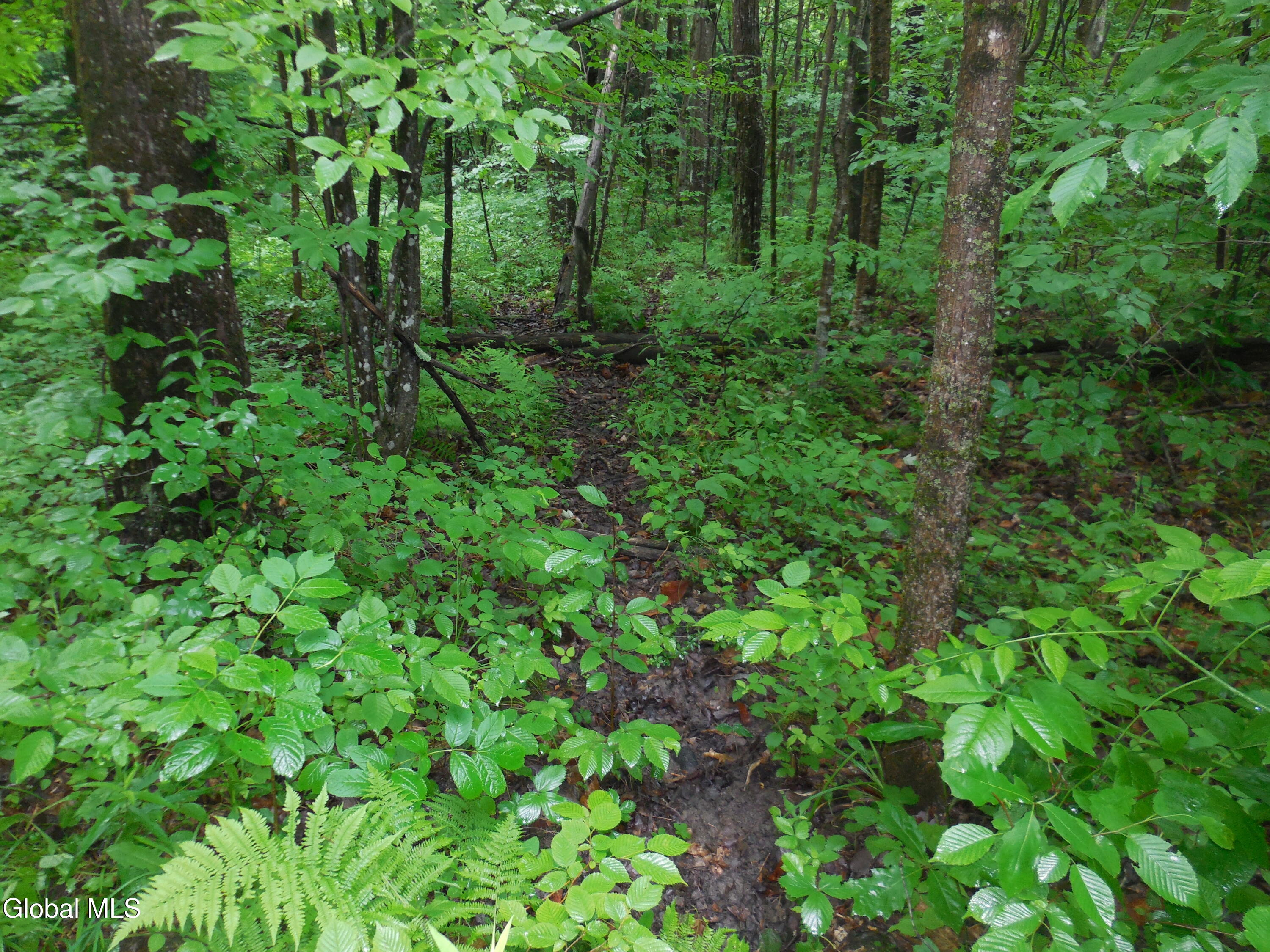 L17.5 N Knight North Road Delanson NY 12053