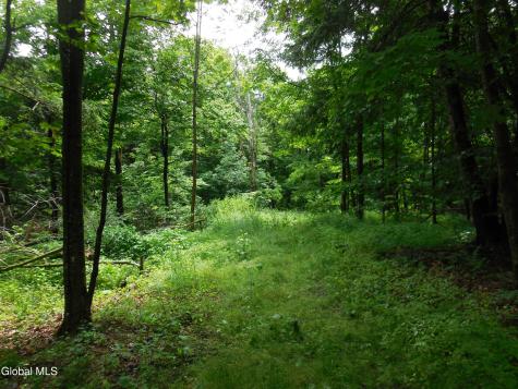 L17.5 N Knight North Road Delanson NY 12053