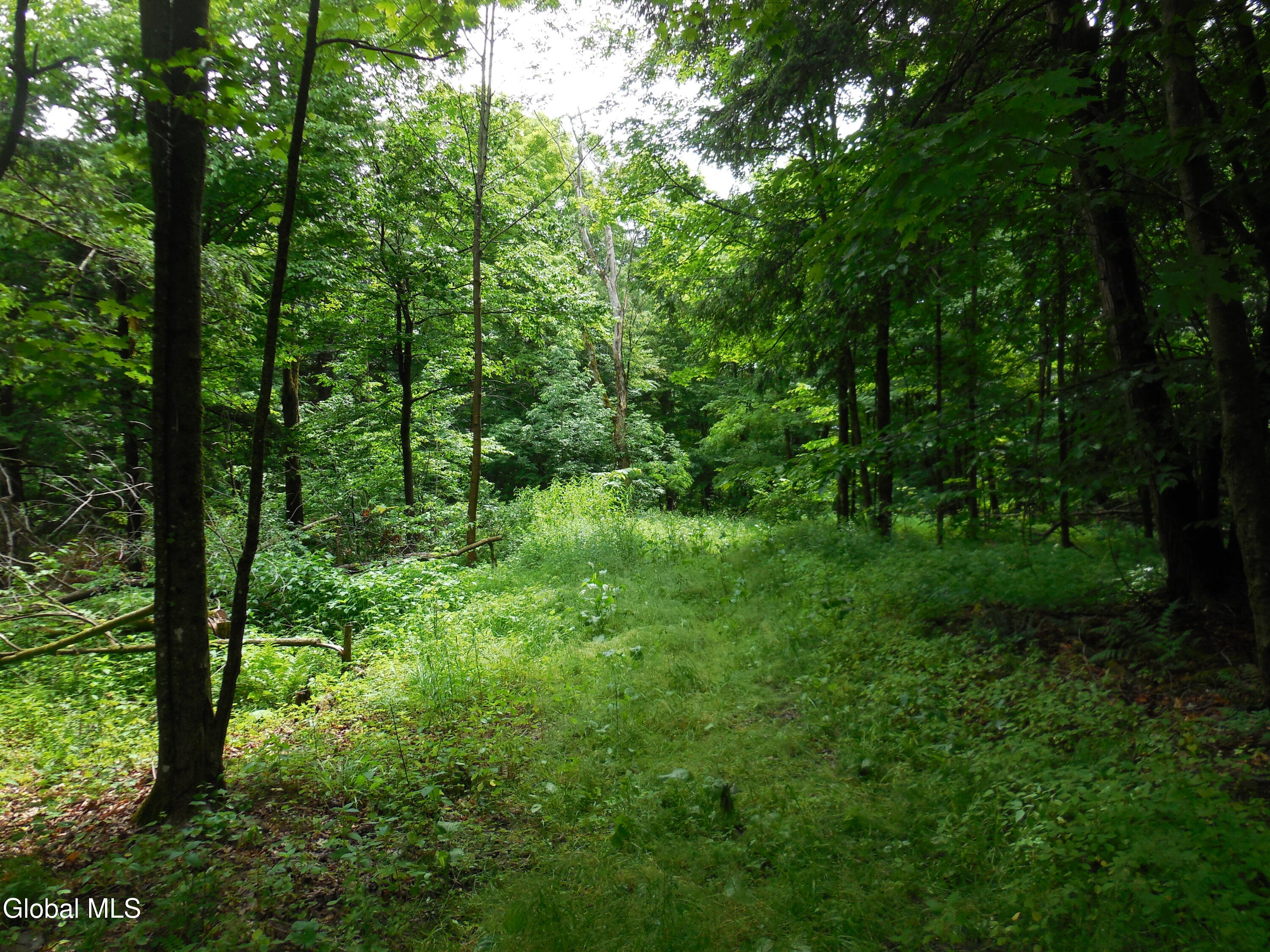L17.5 N Knight North Road Delanson NY 12053