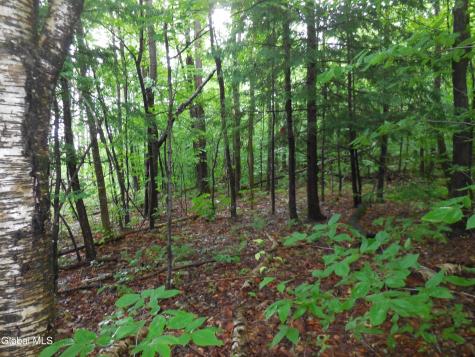 L17.5 N Knight North Road Delanson NY 12053