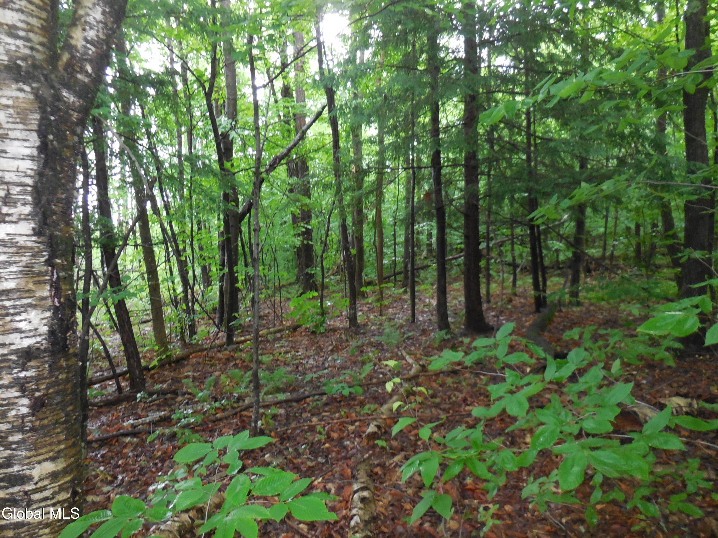 L17.5 N Knight North Road Delanson NY 12053
