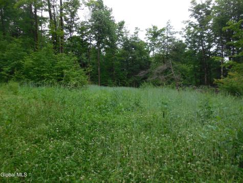 L17.5 N Knight North Road Delanson NY 12053