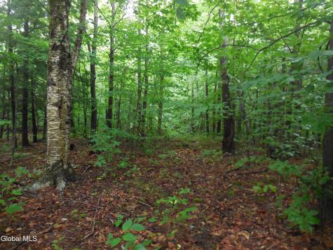 L17.5 N Knight North Road Delanson NY 12053