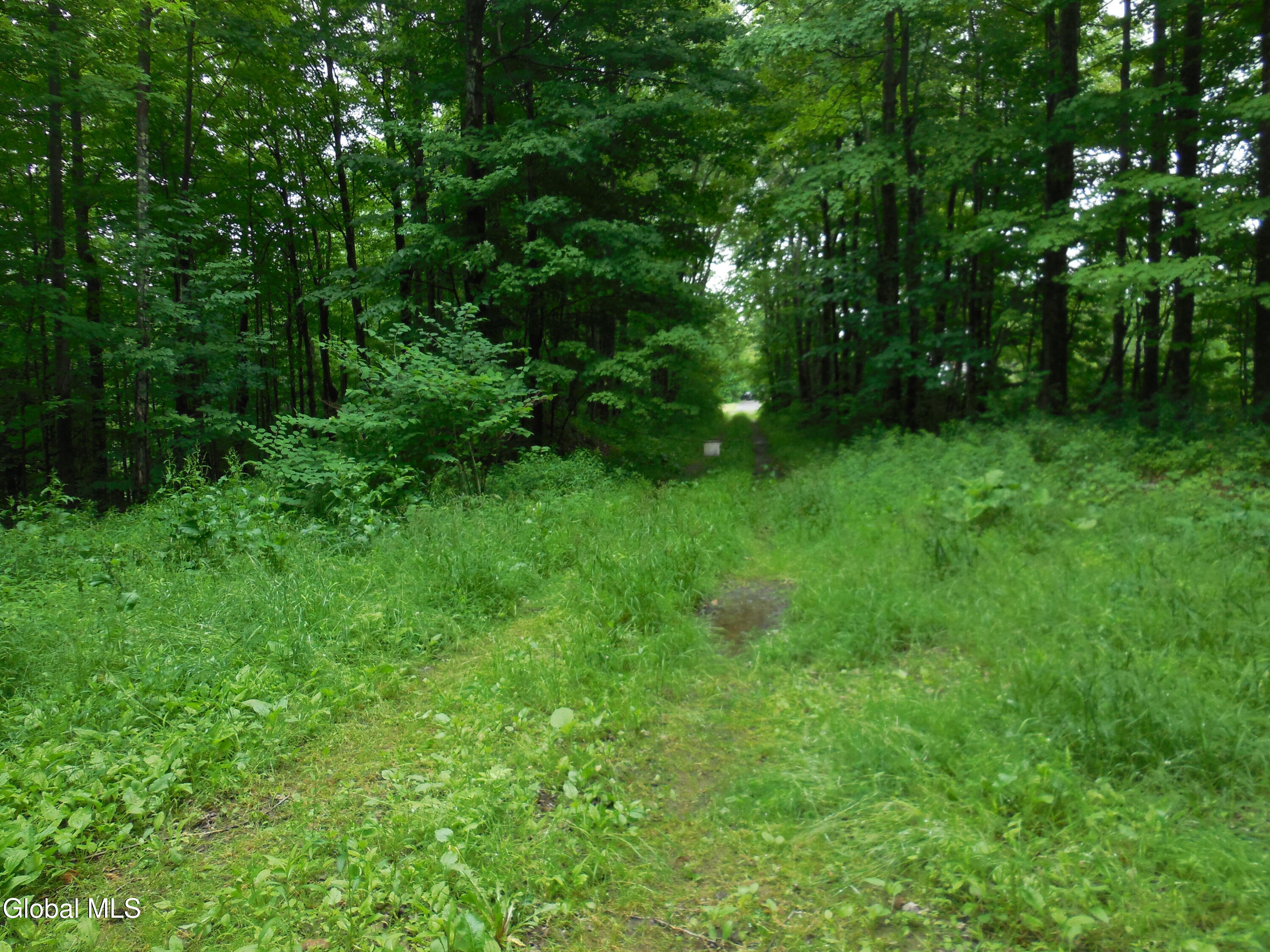 L17.5 N Knight North Road Delanson NY 12053
