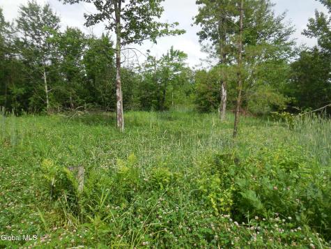 L17.5 N Knight North Road Delanson NY 12053