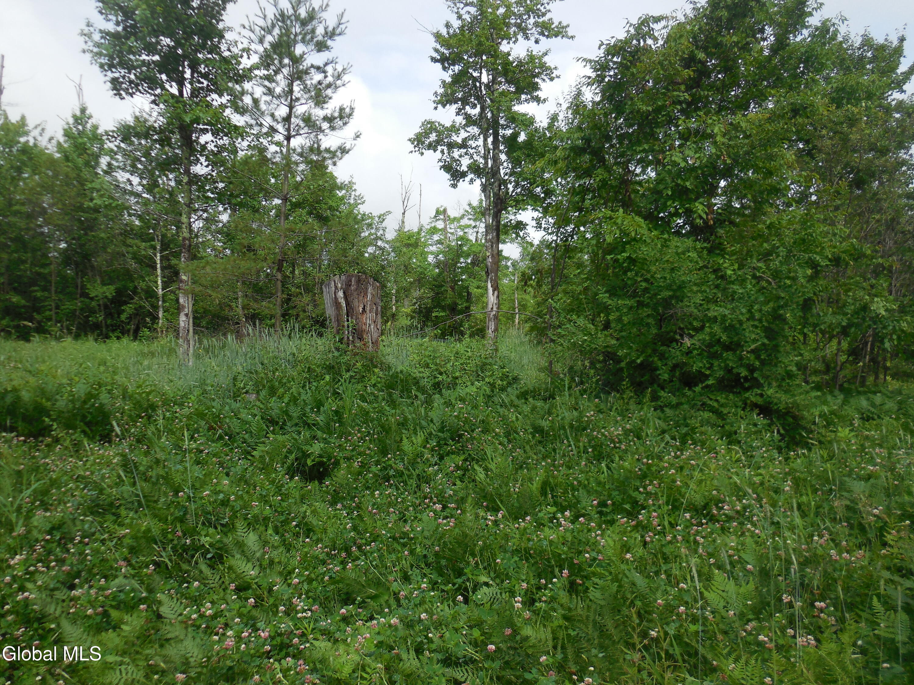 L17.5 N Knight North Road Delanson NY 12053